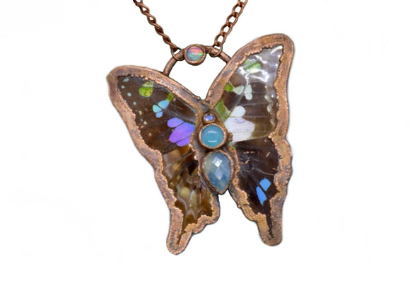 “Butterfly Effect”