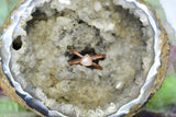 “Whimsical Whiskers” Ring Size 7