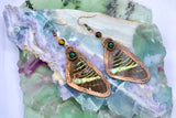 “Leilus Adventures” Earrings
